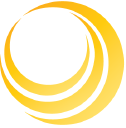 Allyn International Services Inc logo