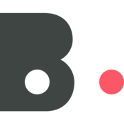 Blindspot.AI logo