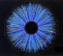 Brookhaven National Laboratory logo