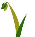 Early Growth Financial Services logo