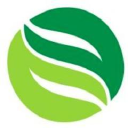 Media Mint logo