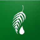 Melaleuca logo