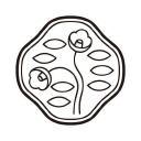 Shiseido logo