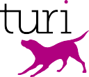 standrews-turi.com logo