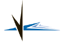 Velocity Vehicle Group logo