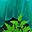 Wall O' Water Incorporated logo