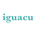 Iguacu Ltd logo